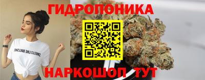 a pvp Тула