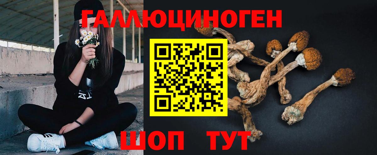 Белореченск  Псилоцибиновые грибы мухоморы  Вход с VPN 